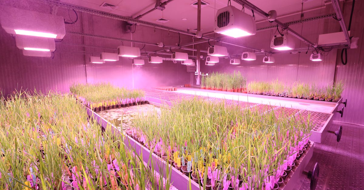 LED-teknologia - LED-läpimurto avaa ovet tarkempaan diagnostiikkaan ja nopeampaan tiedonsiirtoon