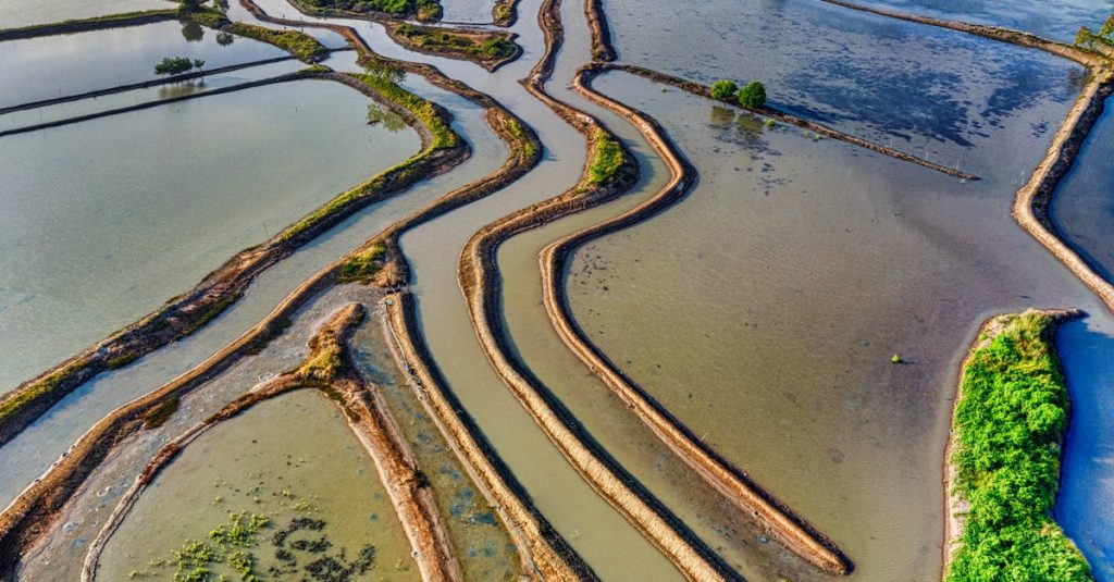 Avaruussodankäynti - Venäjä kehittää antisatelliittiaseen – Uusi uhka avaruuden turvallisuudelle