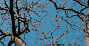 painovoima - Laserilla painovoima-aaltojen hallintaan: Miten voimme muuttaa kosmosta?