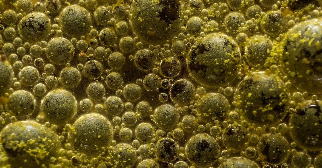 Muovinkierrätys - Tungstenkarbidin vallankumous muovin kierrätyksessä – Uusi aikakausi alkaa