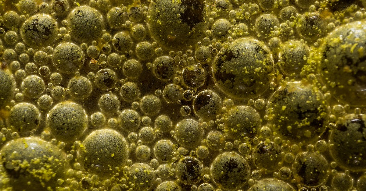 Muovinkierrätys - Tungstenkarbidin vallankumous muovin kierrätyksessä – Uusi aikakausi alkaa