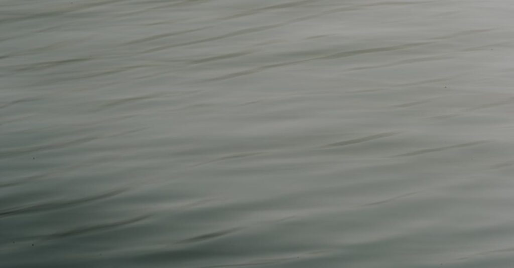 aineen olomuoto - Tutkijat löysivät uuden aineen välimuodon: Miten se muuttaa nanoteknologiaa ja elektroniikkaa?