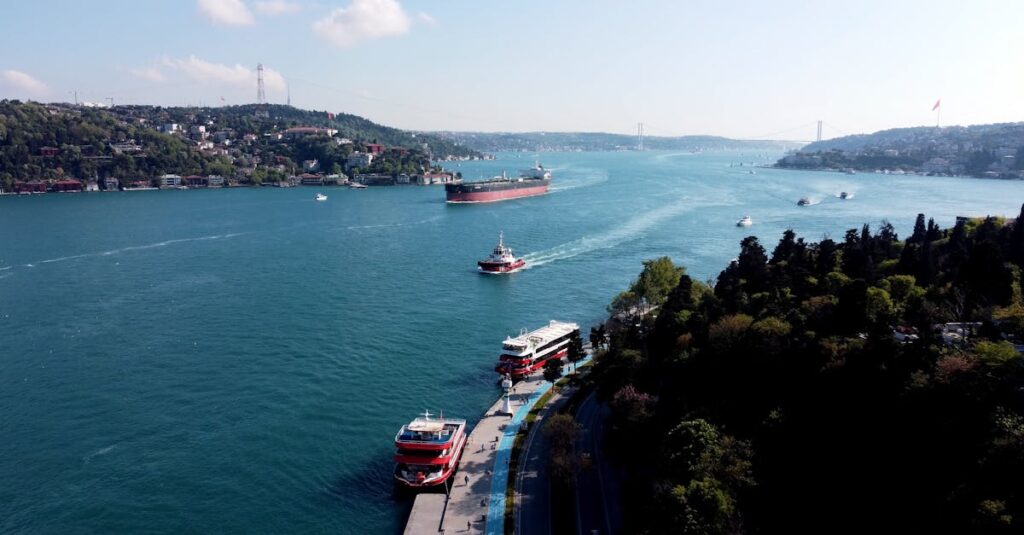 Energia - Hormuzinsalmen sulkemisen vaikutukset Aasian energiakriisiin: Hätätoimet ja tulevaisuuden ratkaisut